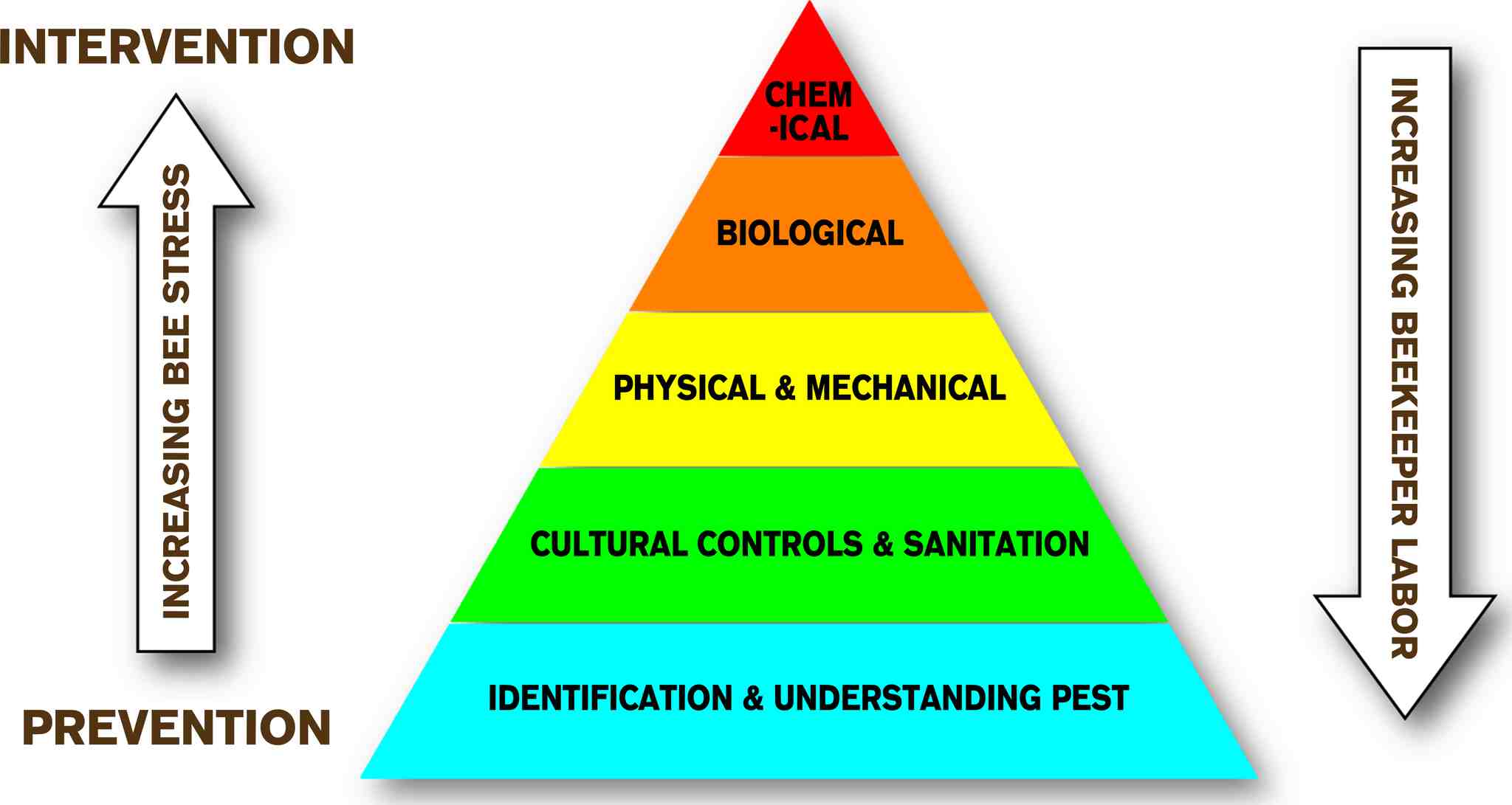 Integrated Pest Management Pyramid. At the base is Identification and Understanding Pest, next is Cultural Controls and Sanitation, then Physical and Mechanical, then Biological, and then Chemical. As you go from the base to the top you are looking at prevention methods first until the top where you are looking at intervention methods. As you get to the top of the pyramid, you have increasing bee stress, but decreasing beekeeper labor. This pyramid indicates that it is easier on the beekeeper to intervene with bee issues, but this comes with increasing bee stress. For this reason, it is harder on the beekeeper, but better for bee health to prevent issues before they arise.
