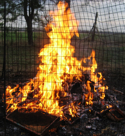 Infected beehive being burned to prevent AFB spread.